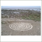 Shell spiral