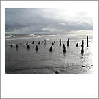 Groyne points