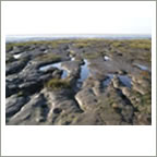 riverside mud spurn